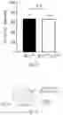 Fig. 06 - METHODS FOR CONTROLLING PROSTAGLANDIN-MEDIATED BIOLOGICAL PROCESSES