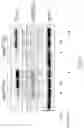Fig. 09 - METHODS FOR CONTROLLING PROSTAGLANDIN-MEDIATED BIOLOGICAL PROCESSES