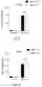 Fig. 15 - METHODS FOR CONTROLLING PROSTAGLANDIN-MEDIATED BIOLOGICAL PROCESSES