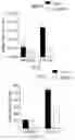 Fig. 18 - METHODS FOR CONTROLLING PROSTAGLANDIN-MEDIATED BIOLOGICAL PROCESSES