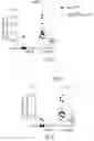 Fig. 20 - METHODS FOR CONTROLLING PROSTAGLANDIN-MEDIATED BIOLOGICAL PROCESSES