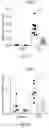 Fig. 24 - METHODS FOR CONTROLLING PROSTAGLANDIN-MEDIATED BIOLOGICAL PROCESSES