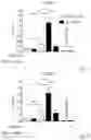 Fig. 28 - METHODS FOR CONTROLLING PROSTAGLANDIN-MEDIATED BIOLOGICAL PROCESSES