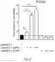 Fig. 30 - METHODS FOR CONTROLLING PROSTAGLANDIN-MEDIATED BIOLOGICAL PROCESSES