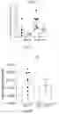 Fig. 38 - METHODS FOR CONTROLLING PROSTAGLANDIN-MEDIATED BIOLOGICAL PROCESSES
