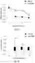 Fig. 48 - METHODS FOR CONTROLLING PROSTAGLANDIN-MEDIATED BIOLOGICAL PROCESSES
