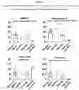 Fig. 03 - PHARMACEUTICAL COMBINATION COMPRISING TNO155 AND A PD-1 INHIBITOR