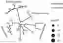Fig. 01 - METHODS OF TREATING RHEUMATOID ARTHRITIS AND FOR PREDICTING THE RESPONSE TO METHOTREXATE