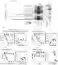 Fig. 08 - METHODS OF TREATING RHEUMATOID ARTHRITIS AND FOR PREDICTING THE RESPONSE TO METHOTREXATE