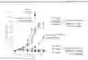 Fig. 01 - COMPOSITIONS AND METHODS OF TREATING CANCER