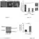 Fig. 02 - PHARMACOLOGICAL MITIGATION OF LATE-STAGE TOXEMIA