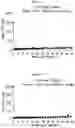 Fig. 03 - GENE THERAPY METHODS