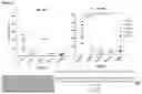 Fig. 10 - Replacement of Cytotoxic Preconditioning Before Cellular Immunotherapy