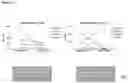Fig. 14 - Replacement of Cytotoxic Preconditioning Before Cellular Immunotherapy