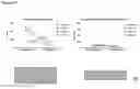 Fig. 15 - Replacement of Cytotoxic Preconditioning Before Cellular Immunotherapy