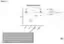 Fig. 24 - Replacement of Cytotoxic Preconditioning Before Cellular Immunotherapy
