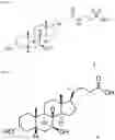 Fig. 03 - Compositions for improving cell viability and methods of use thereof