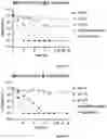 Fig. 10 - NITRIC OXIDE-RELEASING ANTIBACTERIAL COMPOUNDS, FORMULATIONS, AND METHODS PERTAINING THERETO