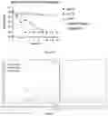 Fig. 11 - NITRIC OXIDE-RELEASING ANTIBACTERIAL COMPOUNDS, FORMULATIONS, AND METHODS PERTAINING THERETO