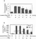 Fig. 01 - COMPOSITION FOR PREVENTING OR TREATING FINE DUST-INDUCED RESPIRATORY DISEASE COMPRISING MIXTURE (RGX-365) COMPRISING GINSENOSIDES RG2, RG4, RG6 AND RH1, AS ACTIVE INGREDIENT, AND PREPARATION METHOD THEREOF