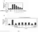 Fig. 03 - COMPOSITION FOR PREVENTING OR TREATING FINE DUST-INDUCED RESPIRATORY DISEASE COMPRISING MIXTURE (RGX-365) COMPRISING GINSENOSIDES RG2, RG4, RG6 AND RH1, AS ACTIVE INGREDIENT, AND PREPARATION METHOD THEREOF
