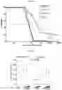 Fig. 10 - Method and compositions for treating Coronavirus infection