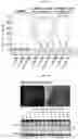 Fig. 13 - Method and compositions for treating Coronavirus infection