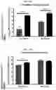 Fig. 16 - Method and compositions for treating Coronavirus infection