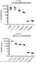 Fig. 21 - Method and compositions for treating Coronavirus infection