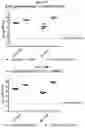 Fig. 22 - Method and compositions for treating Coronavirus infection