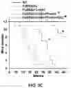 Fig. 05 - METHODS AND COMPOSITIONS FOR TREATING MOTOR NEURON DISEASES