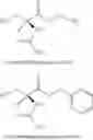 Fig. 12 - METHODS AND COMPOSITIONS FOR TREATING MOTOR NEURON DISEASES