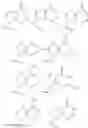 Fig. 05 - 3′3′-cyclic dinucleotide analogue comprising a cyclopentanyl modified nucleotide as sting modulator