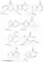 Fig. 09 - 3′3′-cyclic dinucleotide analogue comprising a cyclopentanyl modified nucleotide as sting modulator