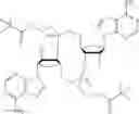 Fig. 129 - 3′3′-cyclic dinucleotide analogue comprising a cyclopentanyl modified nucleotide as sting modulator