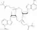 Fig. 131 - 3′3′-cyclic dinucleotide analogue comprising a cyclopentanyl modified nucleotide as sting modulator