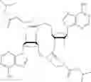 Fig. 133 - 3′3′-cyclic dinucleotide analogue comprising a cyclopentanyl modified nucleotide as sting modulator
