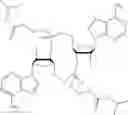 Fig. 134 - 3′3′-cyclic dinucleotide analogue comprising a cyclopentanyl modified nucleotide as sting modulator