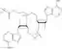 Fig. 146 - 3′3′-cyclic dinucleotide analogue comprising a cyclopentanyl modified nucleotide as sting modulator