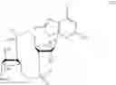Fig. 164 - 3′3′-cyclic dinucleotide analogue comprising a cyclopentanyl modified nucleotide as sting modulator