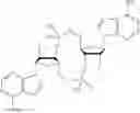 Fig. 76 - 3′3′-cyclic dinucleotide analogue comprising a cyclopentanyl modified nucleotide as sting modulator