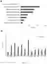 Fig. 28 - MIR-181 INHIBITORS AND USES THEREOF