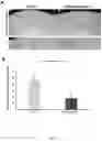 Fig. 30 - MIR-181 INHIBITORS AND USES THEREOF