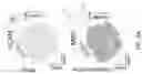 Fig. 09 - SINGLE-NUCLEI CHARACTERIZATION OF AMYOTROPHIC LATERAL SCLEROSIS FRONTAL CORTEX