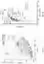 Fig. 16 - SINGLE-NUCLEI CHARACTERIZATION OF AMYOTROPHIC LATERAL SCLEROSIS FRONTAL CORTEX