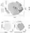Fig. 26 - SINGLE-NUCLEI CHARACTERIZATION OF AMYOTROPHIC LATERAL SCLEROSIS FRONTAL CORTEX