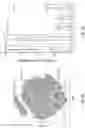 Fig. 27 - SINGLE-NUCLEI CHARACTERIZATION OF AMYOTROPHIC LATERAL SCLEROSIS FRONTAL CORTEX