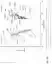 Fig. 29 - SINGLE-NUCLEI CHARACTERIZATION OF AMYOTROPHIC LATERAL SCLEROSIS FRONTAL CORTEX