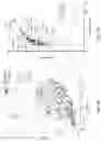 Fig. 31 - SINGLE-NUCLEI CHARACTERIZATION OF AMYOTROPHIC LATERAL SCLEROSIS FRONTAL CORTEX