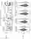 Fig. 33 - SINGLE-NUCLEI CHARACTERIZATION OF AMYOTROPHIC LATERAL SCLEROSIS FRONTAL CORTEX
